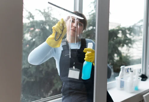Nettoyage de vitres intérieures et extérieures à Saint-Cyr-les-Colons
